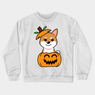 Funny orange dog is in a pumpkin Crewneck Sweatshirt